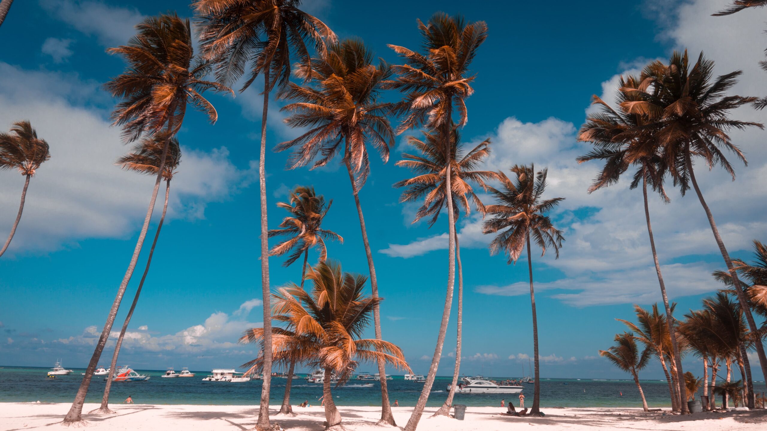 Playa Bávaro, La Altagracia, Republica Dominicana - Descubre Republica Dominicana