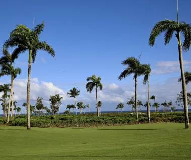 Playa Grande Golf & Ocean Club - Rio San Juan, Maria Trinidad Sanchez - Descubre República Dominicana